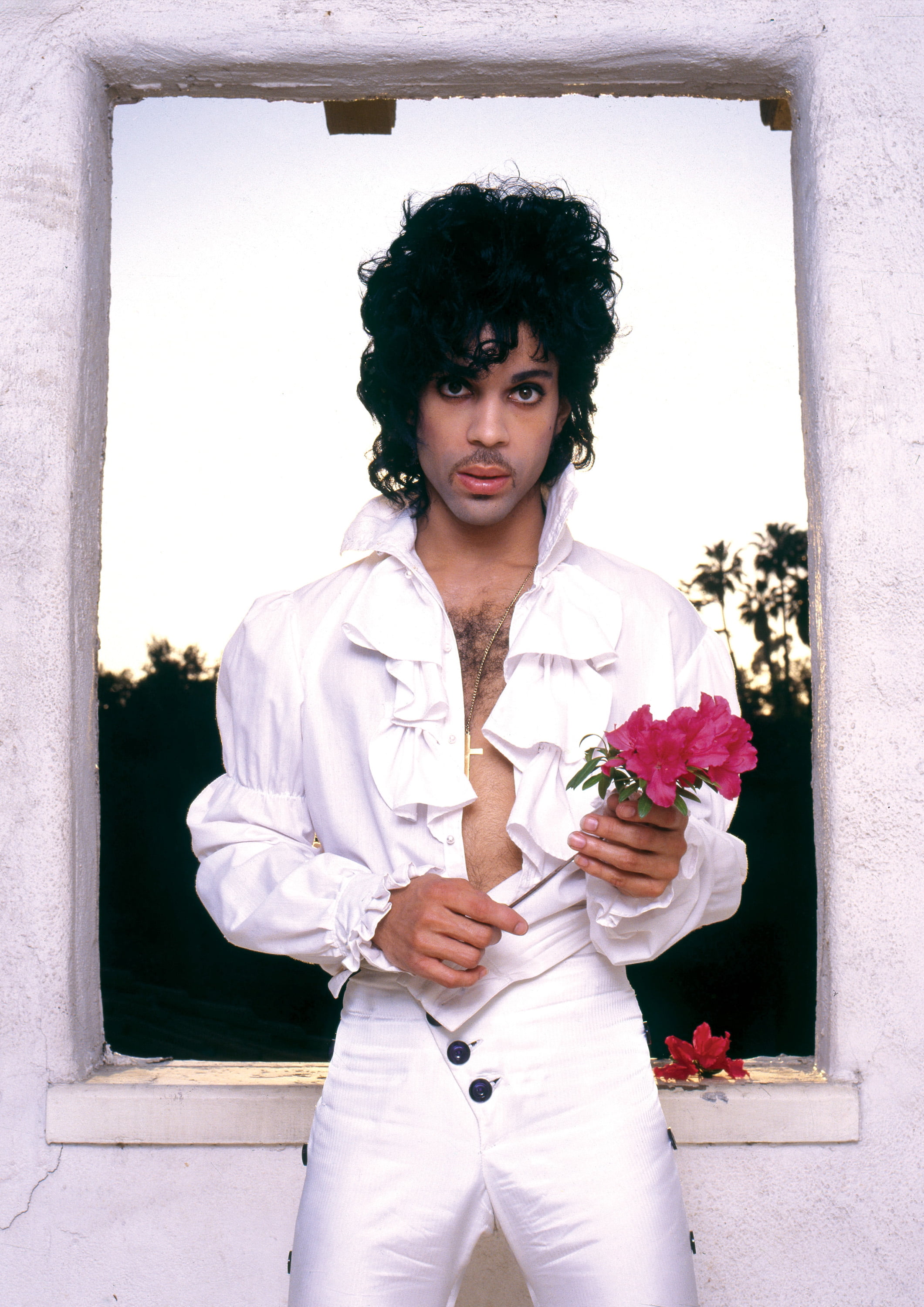 Prince - Purple Rain (Walmart Exclusive) - Music & Performance - Vinyl [Exclusive]