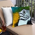 thumbnail image 1 of Ahgly Company Animals Parrot Outdoor Throw Pillow, 18 inch by 18 inch, 1 of 6