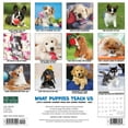 thumbnail image 3 of What Puppies Teach Us 2024 12 X 12 Wall Calendar (Calendar), 3 of 3