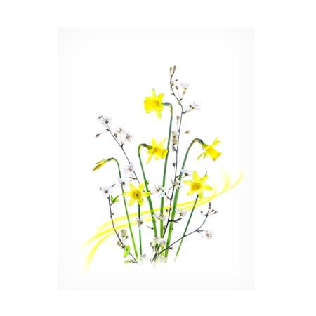 Canvas Wall Art - Jacky Parker 'Simply Spring' Wall Art for Living Room, Bedroom, or Office D?cor by Trademark Fine Art - 14 x 19 Inches