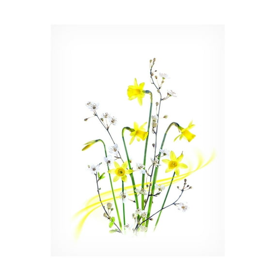 Canvas Wall Art - Jacky Parker 'Simply Spring' Wall Art for Living Room, Bedroom, or Office D?cor by Trademark Fine Art - 14 x 19 Inches