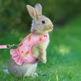 thumbnail image 3 of Visland 1 Set Pet Harness Leash Stylish Cute Cartoon Pattern Guinea Pig Rabbit Vest Harness Set for Outdoor Walking, 3 of 7