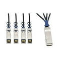 thumbnail image 3 of TRIPP LITE N281-02M-BK 40GbE QSFP+ to 10GbE SFP+ Passive Copper Breakout Cable 2M 6.5', 3 of 4
