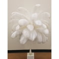 thumbnail image 2 of ZUCKER™ Ostrich Feathers-Prime Femina - Biege, 2 of 3