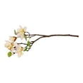 thumbnail image 2 of Bouquet Artificial Mainstays Magnolia Blanco, 2 of 4