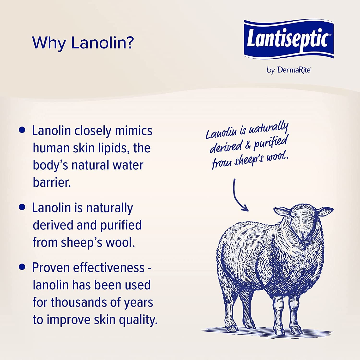 Lantiseptic Skin Protectant 4.5 oz - (Pack of 2)