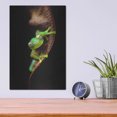 thumbnail image 4 of Luxe Metal Art 'Frog Portrait' by Thomas Haney, Metal Wall Art, 12"x16", 4 of 9