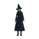 thumbnail image 1 of Muñeca Mattel Wicked Elphaba, 1 of 7