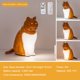thumbnail image 2 of Lámpara Escritorio para Gatos Mesita Noche LED Brillo 3 Niveles La Habitación Del, 2 of 9