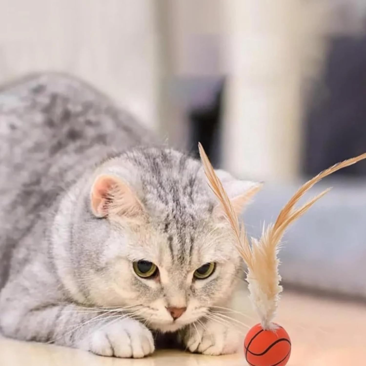 Celery Pets Cat Toy, Interactive Feather Ball Toy Set for Cats, Bouncy Tails Cat Toys, Feather Ball Toy for Cats, Bouncy Balls for Cats, Feather Bouncy Ball Cat Toy (Set*A+B)