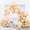 Brown-1v, variant on Mint Green Balloons, 150 pcs Different Sizes Pack of 18 Inch 12 Inch 10 Inch 5 Inch Magenta Fuchsia Dark Pink Balloons for Balloon Garland Balloon Arch as Birthday Party Wedding Decorations