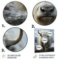 thumbnail image 3 of Designart "Portrait In Yaks Winter I" Animals Metal Wall Decor, 3 of 5
