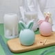 thumbnail image 5 of B Easter Bunny Candle Mold, Silicone Mold for Candle Making, Chocolate, Cake Decoration, Soap, Resin Mold, 5 of 5