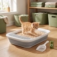 thumbnail image 5 of Foldable Cat Litter Box with Scoop, Collapsible Travel Toilet for Small Cats, Low Entry Anti-Splash Pan, Gray, 17.7 x 13.4 x 5 in, 5 of 6