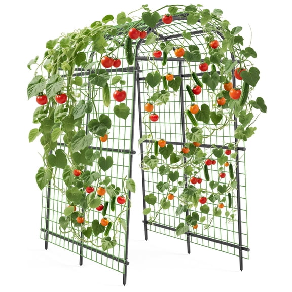 Garden Arch Trellis Trellis for Climbing Plants – 7.5FT Tall Metal Garden Arbor with Netting, Rust-Proof, Supports Vegetables & Flowers – Black for Outdoor Garden, Wedding – 9 horizontal pipe