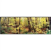 Trademark Art "Trees" Canvas Art by Preston