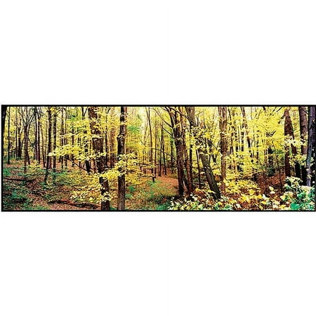 Trademark Art "Trees" Canvas Art by Preston