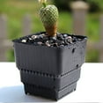 thumbnail image 4 of 8pcs Root Control Flowerpots Resin Square Planters Mini Plastic Succulent Pot for Cactus Bonsai (Black), 4 of 7