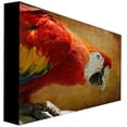 thumbnail image 2 of Trademark Fine Art "Colorful Bird" Canvas Art by Lois Bryan, 2 of 2