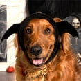 thumbnail image 3 of FurHaven Flex-Fit Pet Costume Hat for Dogs - Bat, L-XL, 3 of 8