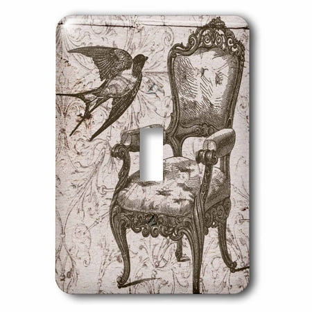 3drose Vintage Chair And Bird Steampunk Art Double Toggle Switch