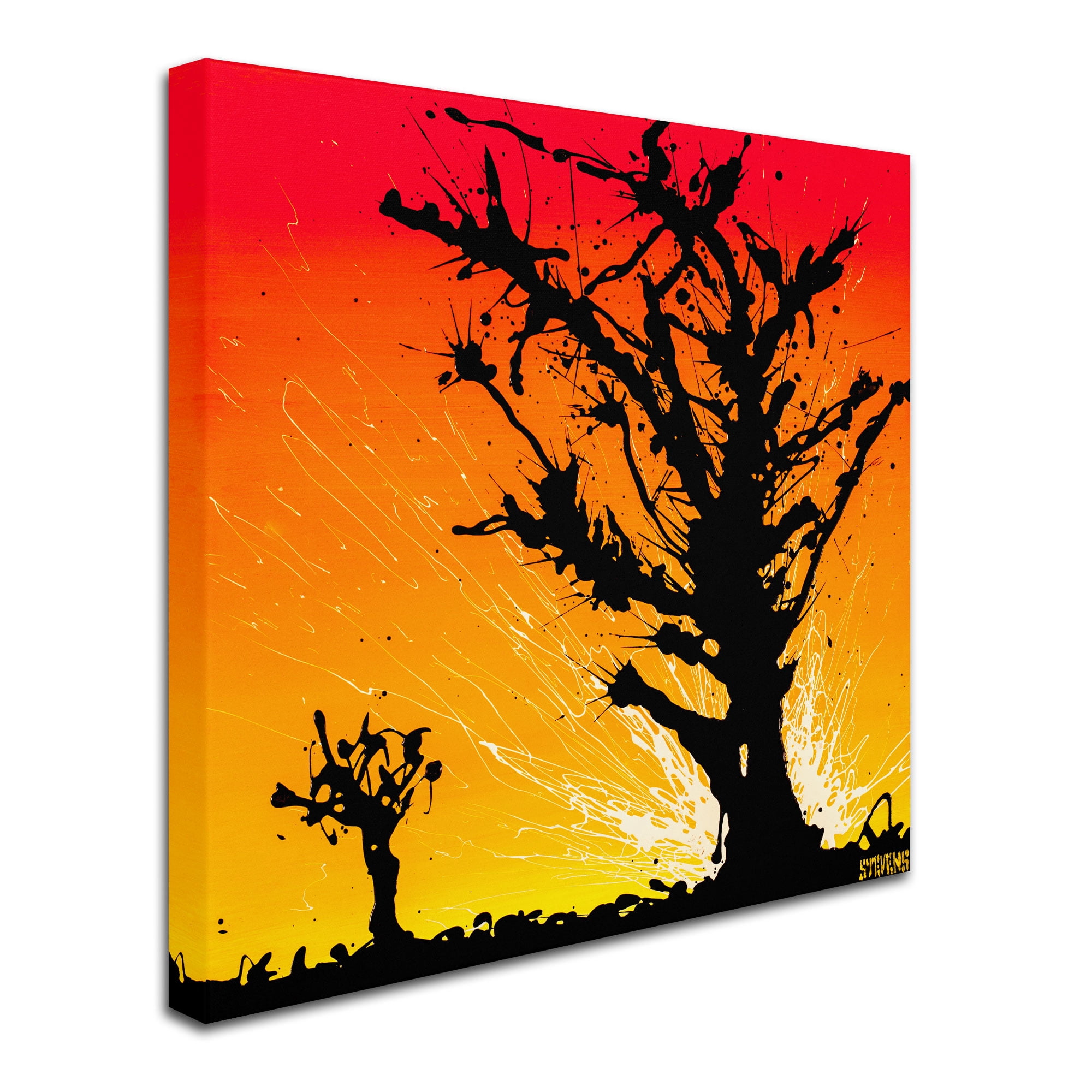 Trademark Fine Art "Joshua Sunburst" Canvas Art by Roderick Stevens