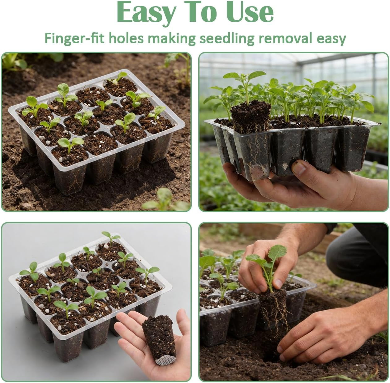 60 Pack Reusable 12-Cell Seed Starter Tray, Plant Starter Trays with Large Drainage Holes for Seed Germination, Easy to Repotted, Fits Standard 1020 Flats and Trays, Black
