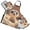 Adorable Baby Meerkat, variant on Funny Colorful Frog Face 5 Pcs Kitchen Set Heat Resistant Oven Mitts and Non-Slip Pot Holders with Adjustable Cooking Apron