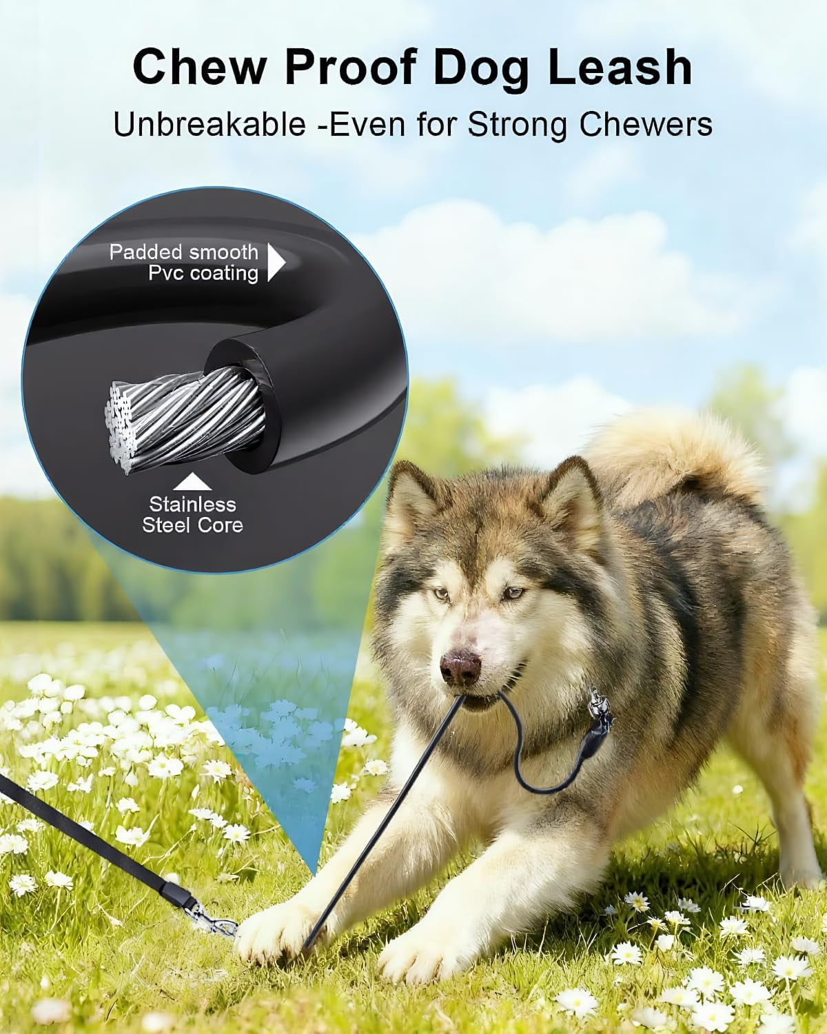 360° Tangle-Free Retractable Dog Leash with Chew Proof Extender | 26ft Upgraded Heavy Duty Retractable Dog Leash with Poop Bag Holder | One-Handed Brake, Pause, Lock (Extra Large, White)