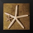 thumbnail image 2 of Kelly, Caroline 12x12 Black Modern Framed Museum Art Print Titled - Starfish, 2 of 5