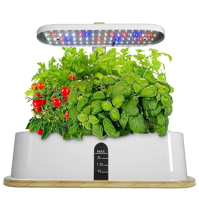 Easier Than Hydroponics Growing System | Grow Indoor Herb Garden Kit With Grow Light | Smart Garden For Home Kitchen Windowsill | Vegetable & Herb Gar