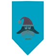 thumbnail image 1 of Penguin Santa Strass Bandana Turquoise Grand, 1 of 1