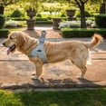 thumbnail image 6 of Pet No Pull Dog Harness with Breathable Mesh Padded, Adjustable Reflective Escape Proof Dog Harness, Quick Fit Dog Vest Harness for Small Medium Large Dogs, 6 of 9