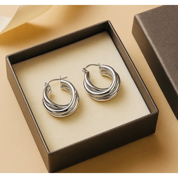 RubyLee Elegance Twisted Hoop Fashion Earrings, Stainless Steel, (Includes Jewelry Pouch), 2 in, 2 Count Per Pack