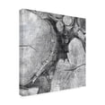 thumbnail image 2 of Trademark Fine Art 'Logging Light I' Canvas Art by John Butler, 2 of 3