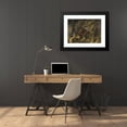 thumbnail image 4 of Jacopo Ligozzi 24x18 Black Modern Framed Museum Art Print Titled - Scene from the Divine Comedy 1, 4 of 5