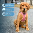 thumbnail image 3 of Best Pet Supplies Voyager Step-In Flex Adjustable Mesh Dog Harness, 3 of 10