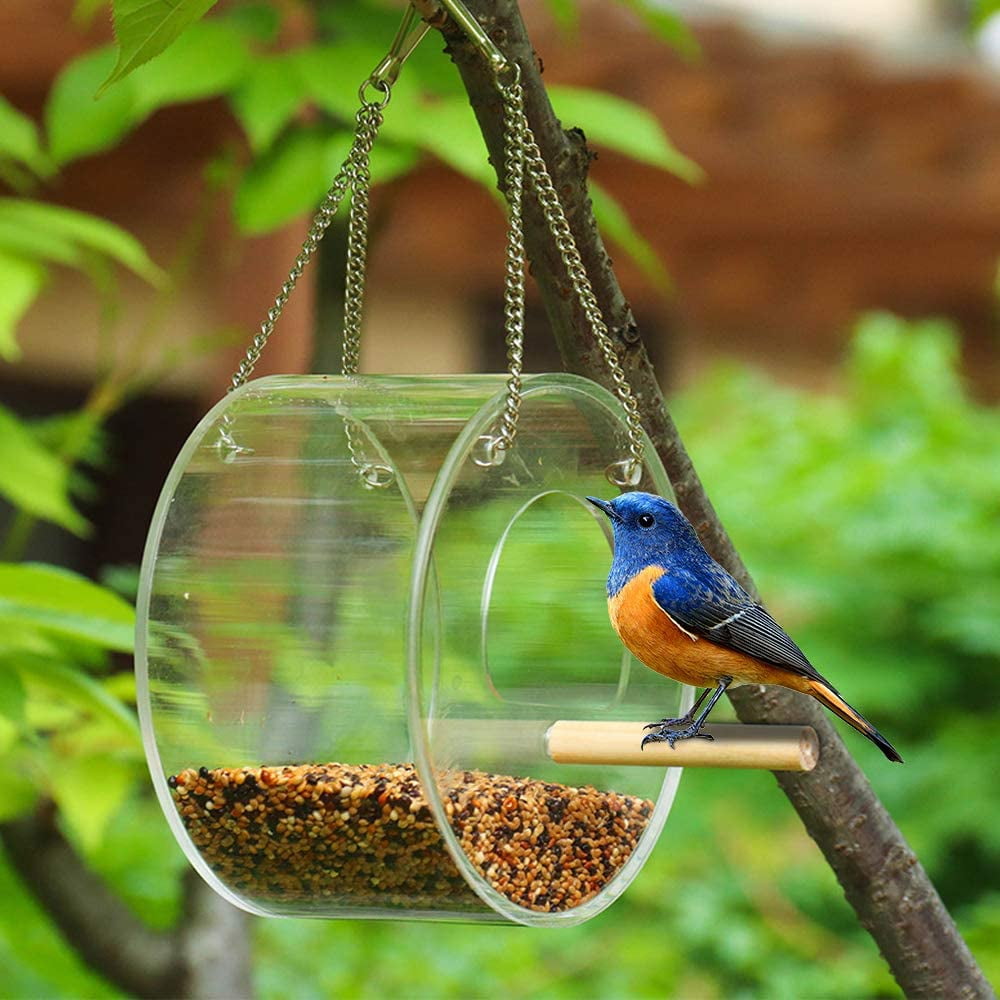 Food Transparent Hanging Acrylic Tree Garden Feeder Bird Seed Device Hanging 