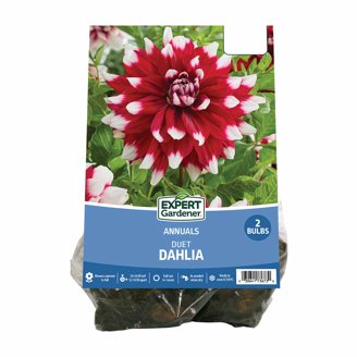 DAHLIAさん専用 DAHLIAさん専用 DAHLIAさん専用 Amazon.co.jp: XJAPAN DAHLIA エックス