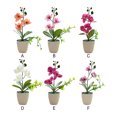 thumbnail image 2 of keepw New Simulation Flower Pot For Indoor Or Outdoor Elegant Realistic Appearance Versatile Bonsai Tree F, 2 of 6