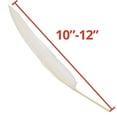 thumbnail image 3 of Color Splash!® Long Quill Feathers, White, 3 of 4