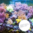 thumbnail image 4 of Shisuyan Suction Cup Coral Frag Rack 8 Holes Acrylic Coral Holder for Aquarium Fish Tank, 4 of 8