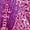 Hot Pink, variant on Inkach Women Half Sleeve U-Neck Casual Cold Shoulder Print Short Mini Shift Dress XL