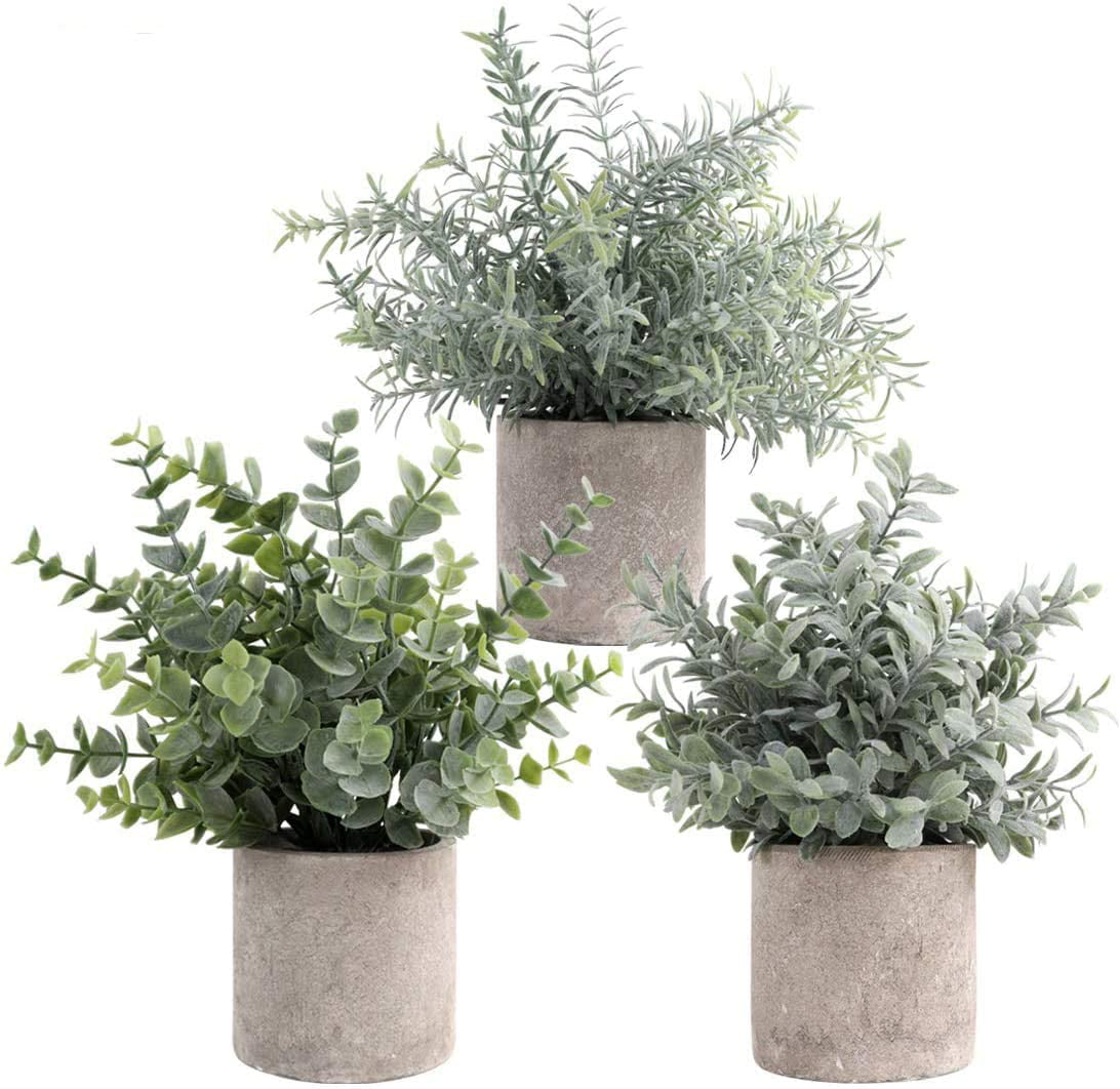 Shop Mini Potted Artificial Eucalyptus Green Plants Set from Walmart on Openhaus