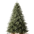 thumbnail image 1 of Árbol de Navidad Balsam Hill Classic abeto azul 6.5 pies sin iluminación, 1 of 8