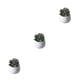 thumbnail image 2 of Ounissouiy Simulación suculenta artificial Bonsai Paisaje de flores falsas para el hogar Type3 NO3, 2 of 6