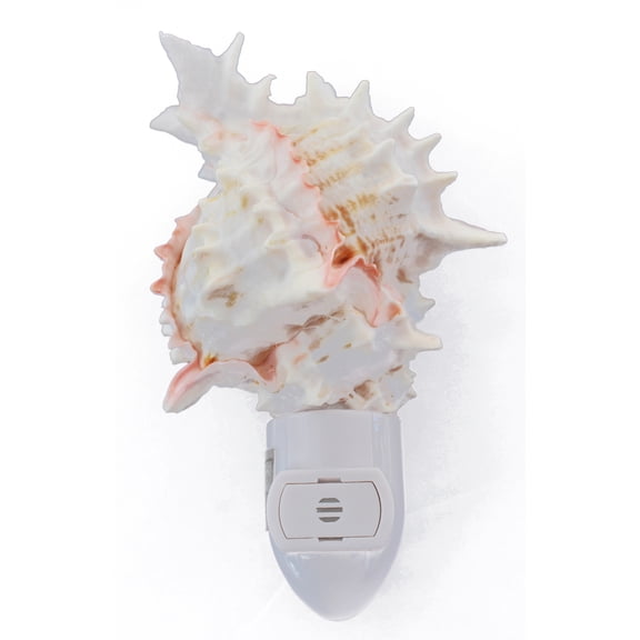 Seashell Night Light Real Pink Murex Shell Beach Decor w. Light Sensor Beautiful Coastal Cottage