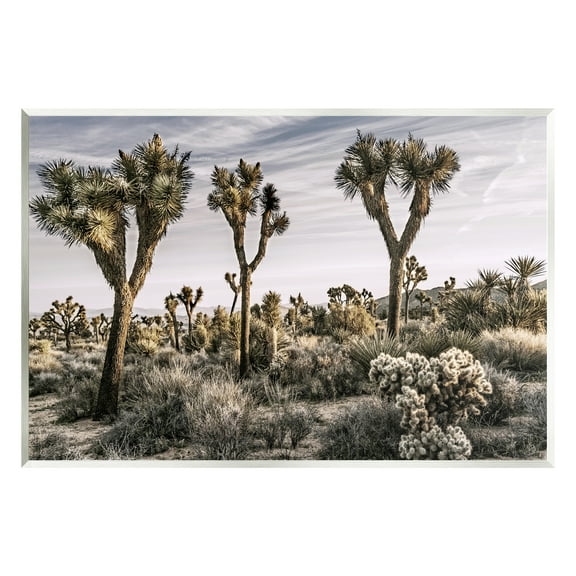 Stupell Industries Desert Cacti Vegetation Landscape Photography Unframed Art Print Wall Art, 15 x 10