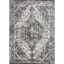 Loomaknoti Rhane Adleigh 6' x 9' Gray Oriental Indoor Area Rug