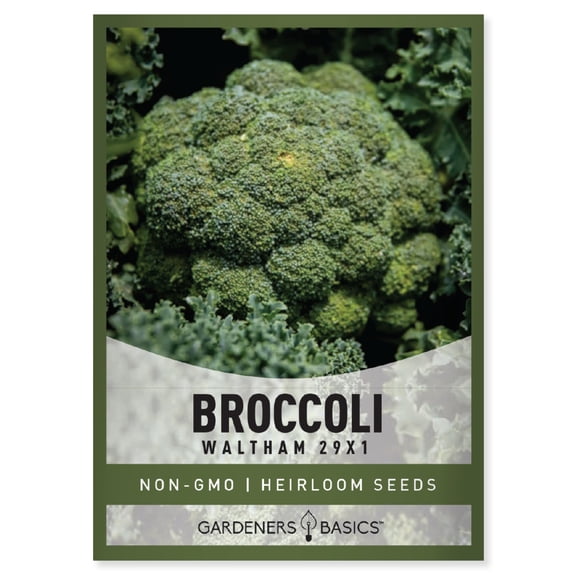 Waltham 29 Broccoli Seeds